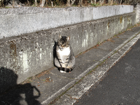 20140211hike (313)